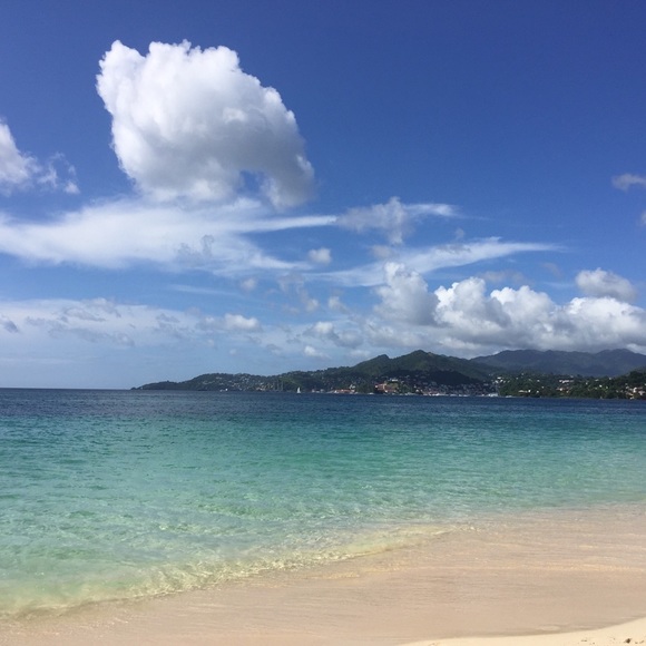 Meet your Posher, Carol - Picture 5 of 8